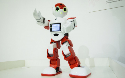 В ТЦ Крейсер открывается Город роботов!