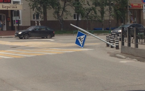 Экстренное сообщение от МЧС: Владимирцев предупреждают о сильном ветре