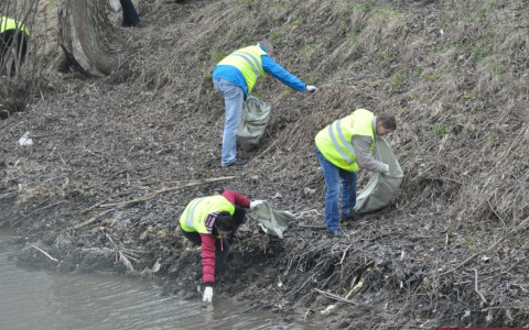 Во Владимире прошел первый общегородской весенний субботник (фото)