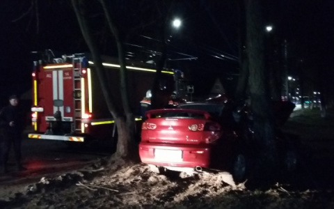 В центре Коврова иномарка врезалась в дерево