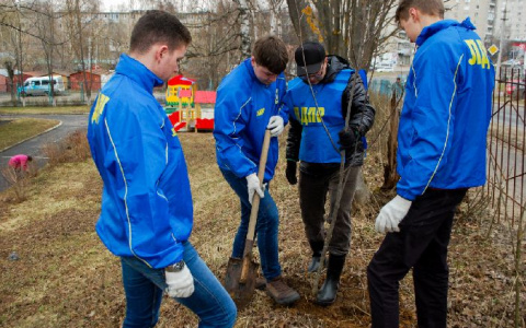Во Владимире появится аллея Жириновского