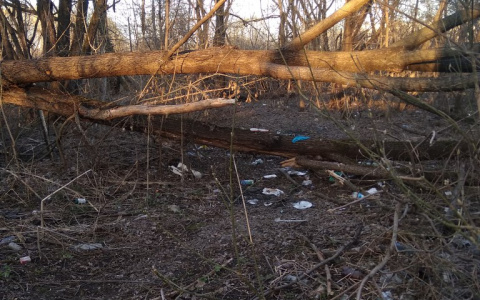 Зеленая зона Точмаша утопает в мусоре