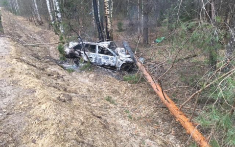 Утром в Меленковском районе автомобиль слетел в кювет и загорелся