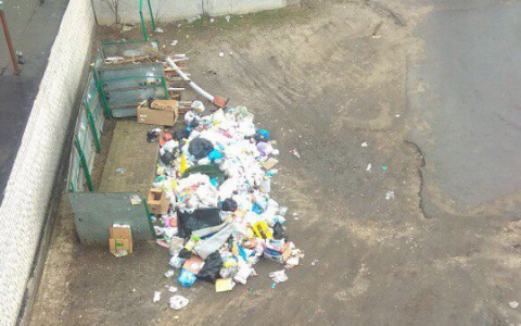 Горожане в шоке от мусорных свалок, которые скопились во дворах