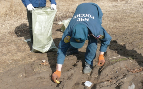 Во Владимирской области стартовала акция "Чистый берег"