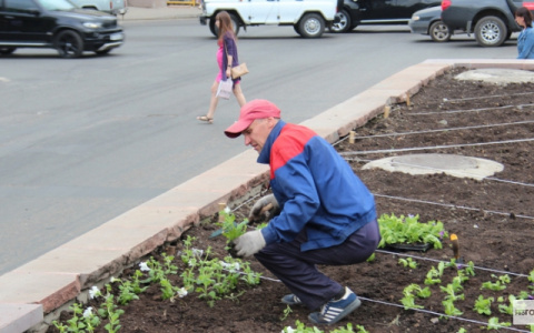 Житель Владимира "нашел" наркотики в цветах