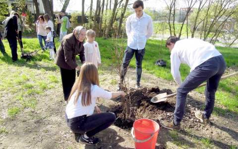 На улице Воровского появилась Аллея Славы