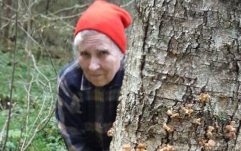 Во Владимирской области бесследно пропала пенсионерка