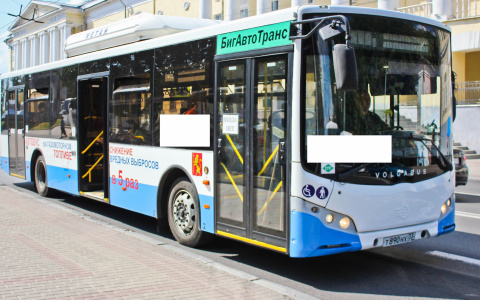 Во Владимире водитель автобуса сломал "конкуренту" ребра