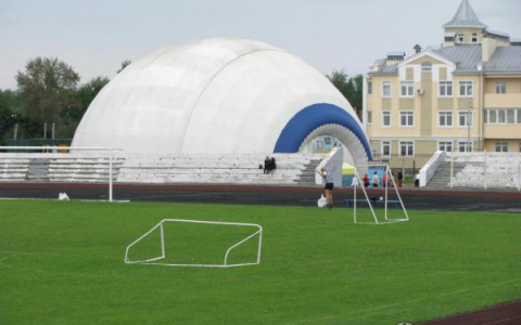 Владимирцы взбунтовались против передвижного дельфинария