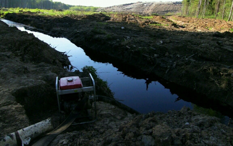 В Александровском районе отходы со свалки сливают в ручей