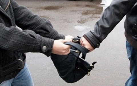 На жителя Гусь-Хрустального напал мужчина, чтобы отнять и выбросить сумку