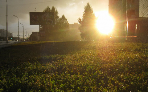 Жару во Владимире разбавит небольшая гроза