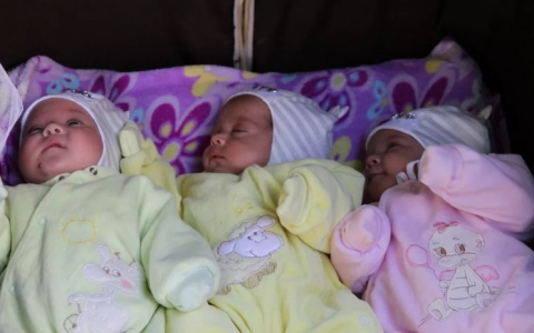 В День Семьи во владимирском роддоме родились тройняшки