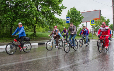 Владимирцев призывают пересесть на велосипеды