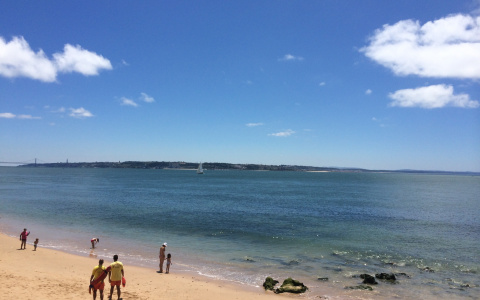 Мошенники разработали новый способ обмана туристов