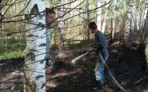 Во Владимирской области потушили лесной пожар