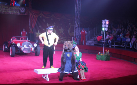 Во Владимире начал работу Цирк Юрия Никулина (видео)