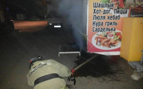 В Собинке приготовление шашлыка привело к пожару