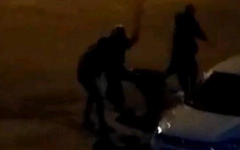 18-летний владимирец стал участником массовой драки в столичном парке Горького