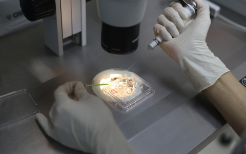 Здесь зарождается жизнь: теперь каждая женщина сможет завести ребенка с помощью ЭКО