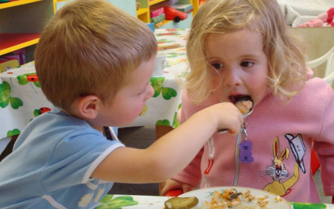 Воспитанников судогодского детсада кормили фруктами с привкусом бензина