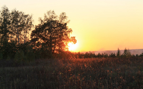 В выходные владимирцев ожидает ясная погода