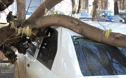 Владимирец отсудил у мэрии кругленькую сумму за свое разбитое авто