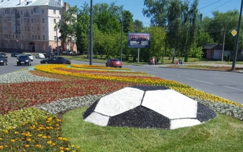 Необычные клумбы с футбольной тематикой украсят улицы города