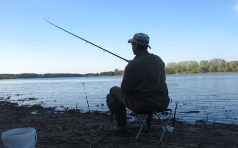 Кольчугинский рыбак стал жертвой воришек