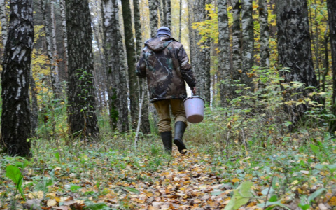 Владимирцы выходят на тихую охоту