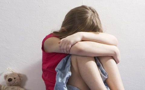 Житель Гороховца просил смягчить срок за изнасилование 8-летней дочери и ее подруги