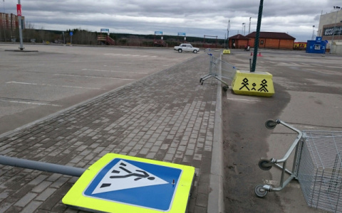 МЧС предупредило владимирцев об усилении ветра в ближайшие часы