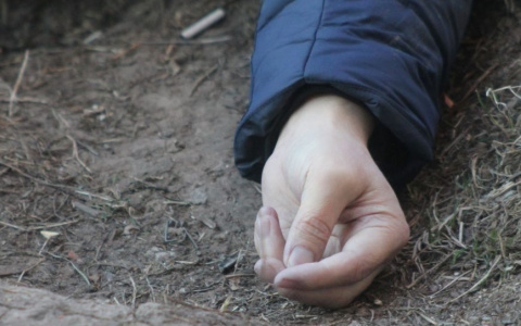 В Вязниках зверски убили, изуродовали и спрятали в лесу молодую мать-одиночку