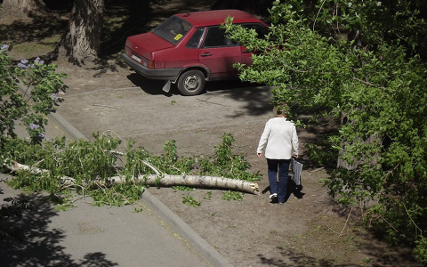 Ураган помял автомобиль на Северной, а полиция не отреагировала