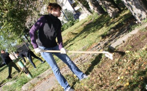 Подросткам Владимира предлагают работу операторов и дизайнеров