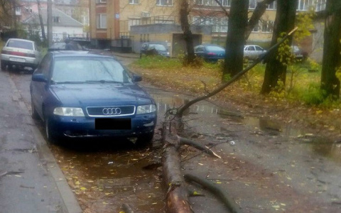 4-летник мальчик из Лакинска оказался в эпицентре урагана