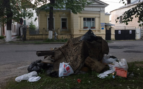 Владимир превратился в одну большую свалку (фото)