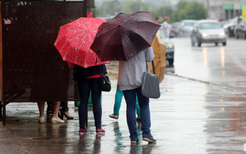 Прохладная и дождливая погода ожидается во Владимире до пятницы
