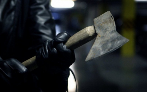 Кольчугинец нарубил дров на 600 тысяч рублей