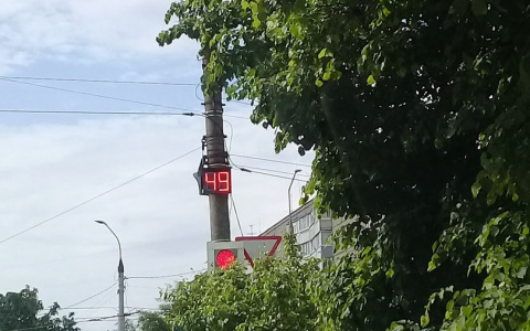 На перекрестке у остановки Гастелло из-за дерева не виден светофор