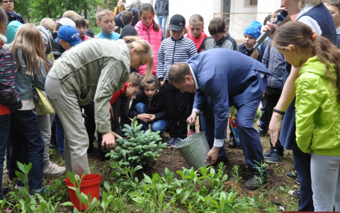 Во Владимире День эколога отметили посадкой деревьев