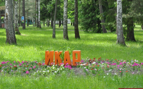 Андрей Шохин нашел недочеты в работе лагеря "Икар"