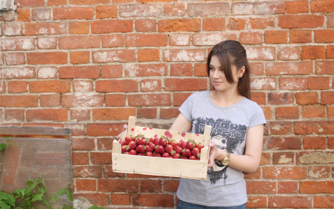 "Сухая и упругая": эксперты рекомендуют, как правильно выбрать клубнику