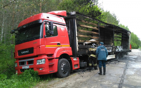 Под Камешками грабители скрутили дальнобойщика и сожгли его фуру?