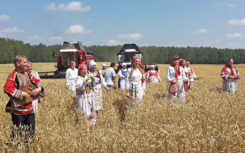 Судогодский район приглашает на «День поля»