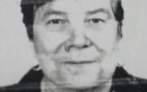 В Суздальском районе разыскиваю женщину в серых тапочках