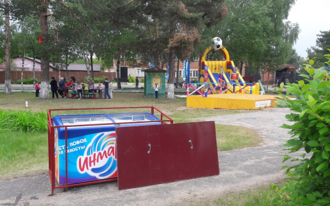 Во Владимире ищут "мороженных" вандалов