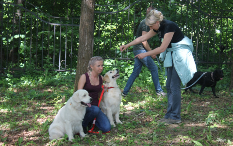 В Парке Дружба горожане обнимались с собаками (фото)