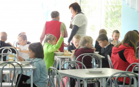 Владимирцы пожаловались на меню в школах и детсадах